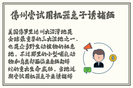 国产精品久在线观看